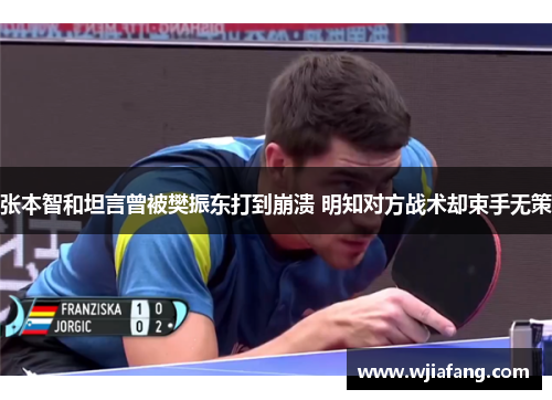 张本智和坦言曾被樊振东打到崩溃 明知对方战术却束手无策 张本智和坦言曾被樊振东打到崩溃 明知对方战术却束手无策