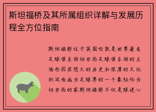 斯坦福桥及其所属组织详解与发展历程全方位指南 斯坦福桥及其所属组织详解与发展历程全方位指南