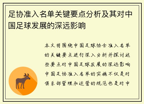足协准入名单关键要点分析及其对中国足球发展的深远影响